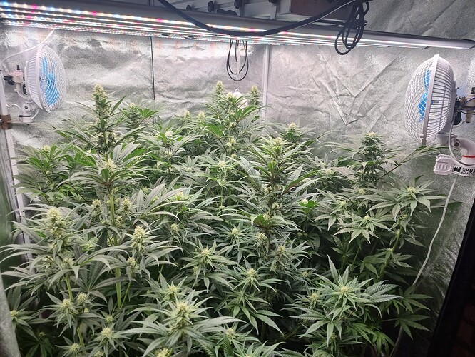 Growreport Bild 27