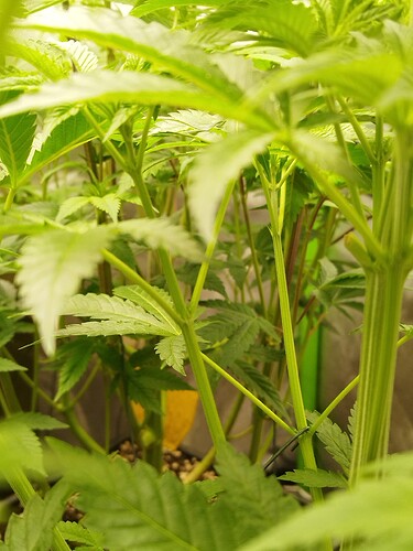 Growreport Bild 15