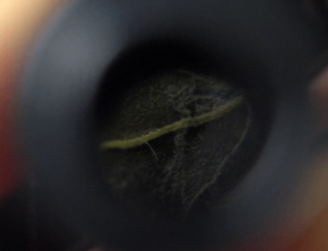 Unbenannt2