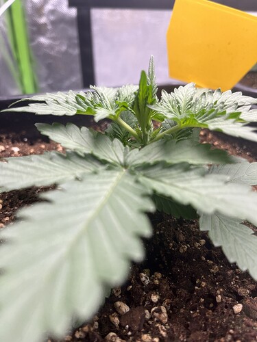 Growreport Bild 14