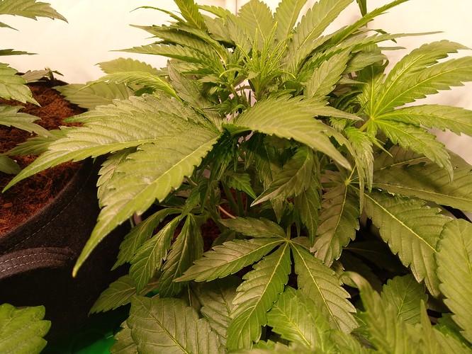 IMAG5601