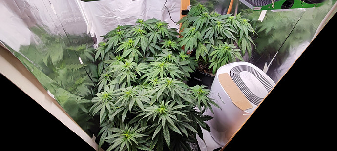 Growreport Bild 2