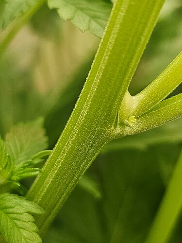 Growreport Bild 8