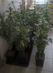 Growreport Bild 7