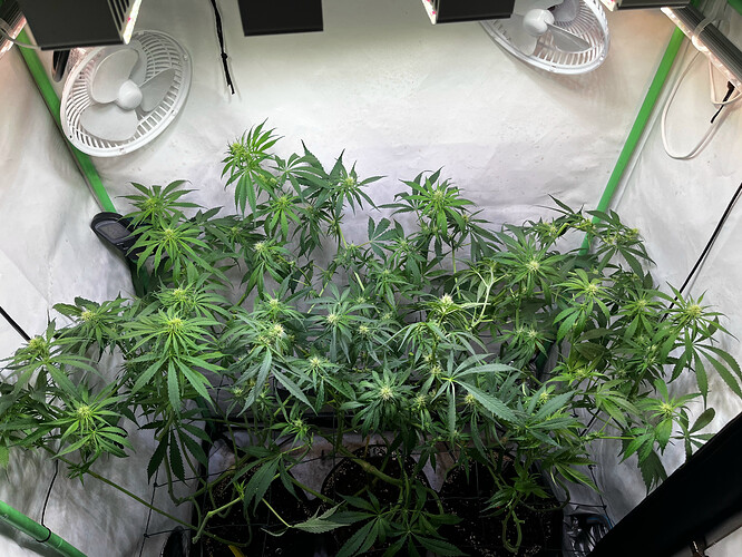 Growreport Bild 9