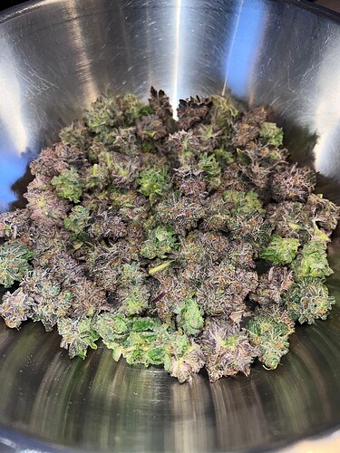 Growreport Bild 6