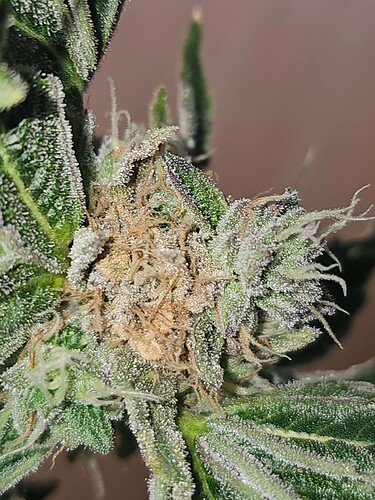 Growreport Bild 21