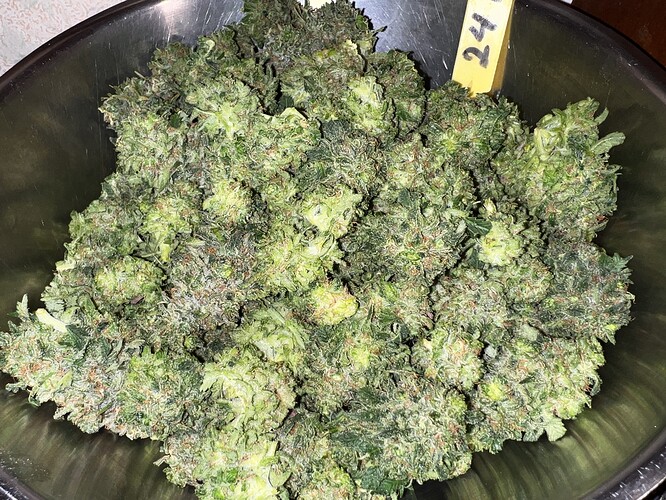 Growreport Bild 22