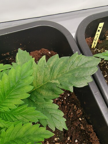 Growreport Bild 30