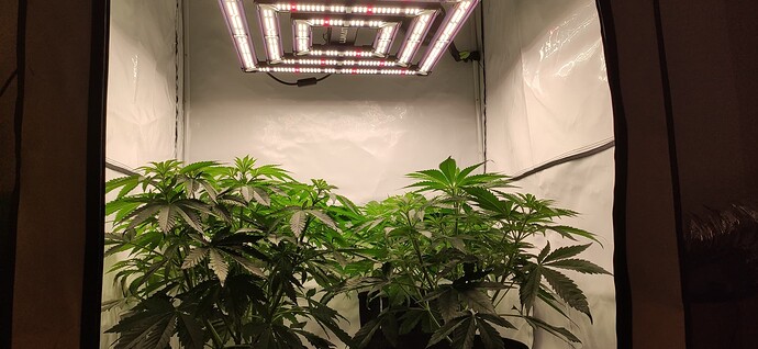 Growreport Bild 15
