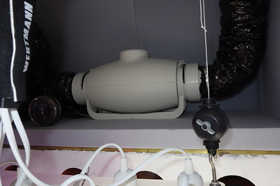 Growreport Bild 7