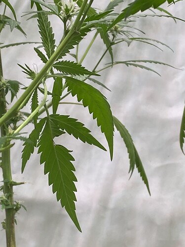 Growreport Bild 10