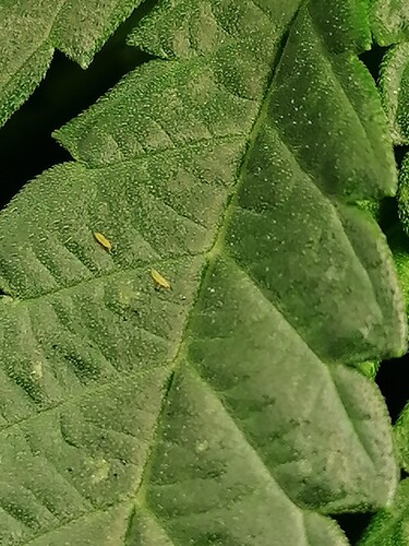 Growreport Bild 12