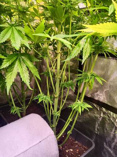 WhatsApp Image 2021-02-12 at 10.41.11 (2)