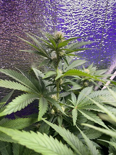 Growreport Bild 4