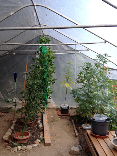 Growreport Bild 2