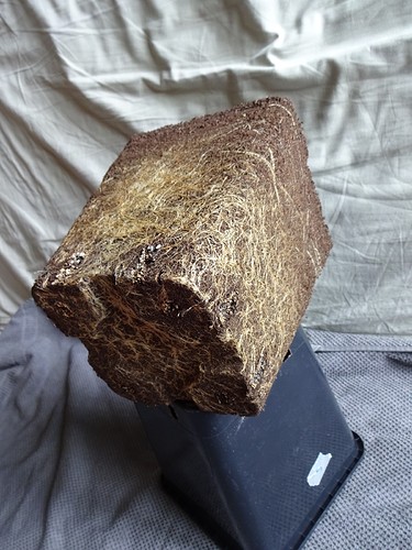 Growreport Bild 4