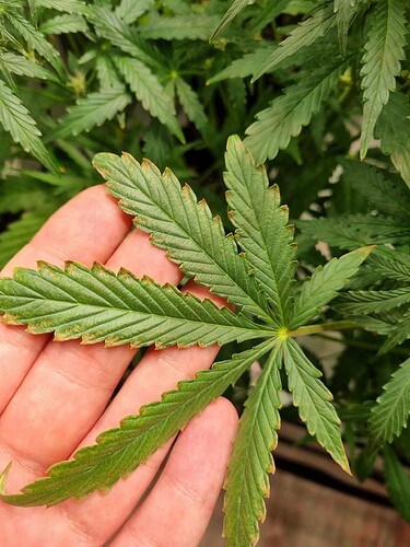 Growreport Bild 8