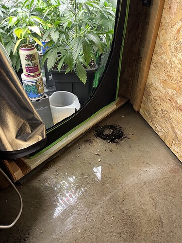 Growreport Bild 12