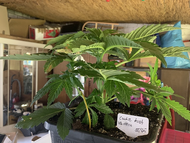 Growreport Bild 1