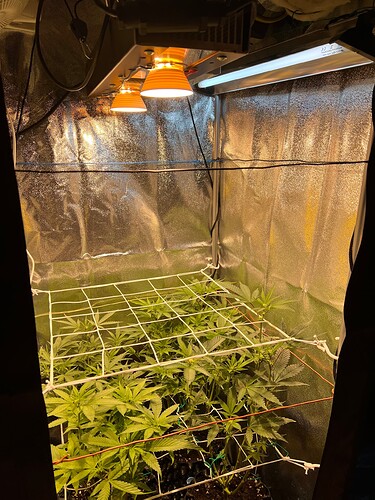 Growreport Bild 7