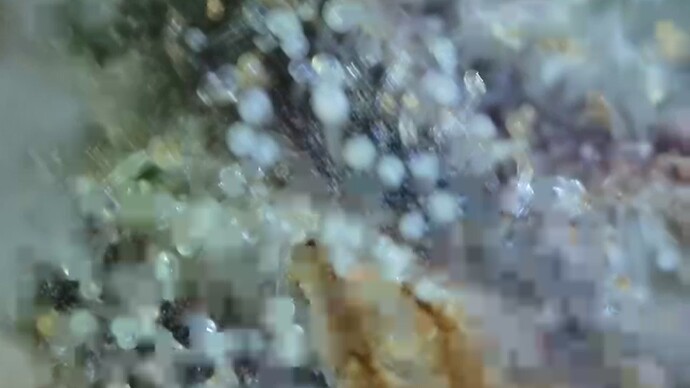 2022-06-25-032454824