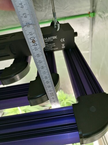 Growreport Bild 11
