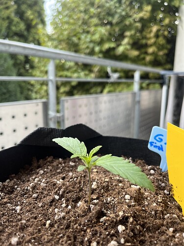 Growreport Bild 9