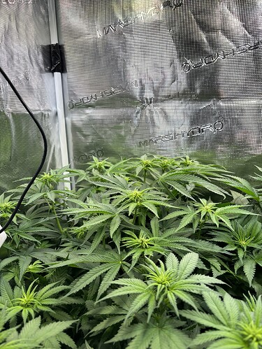Growreport Bild 8