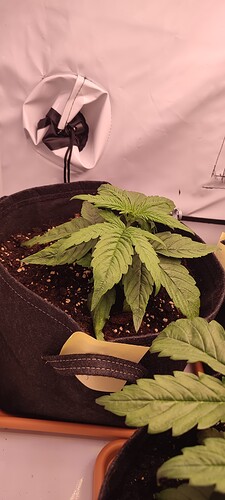 Growreport Bild 15