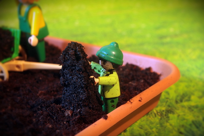 Growreport Bild 8
