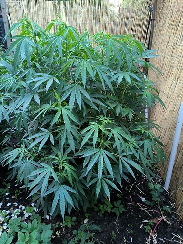 Growreport Bild 15