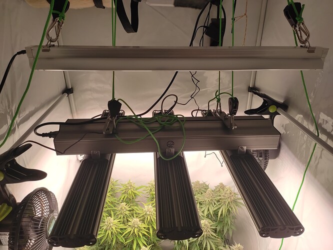 Growreport Bild 4