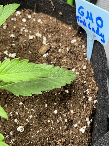 Growreport Bild 11