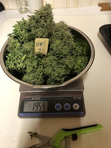 Growreport Bild 3