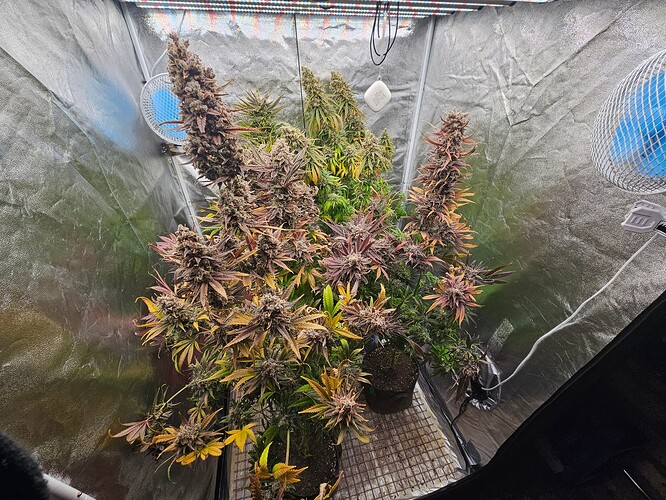 Growreport Bild 23