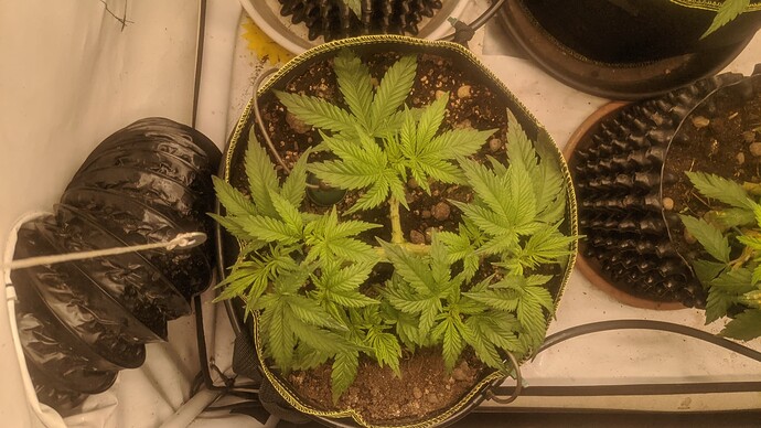 IMG_20231201_094011_958