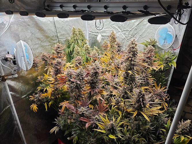Growreport Bild 3