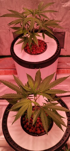 IMG_20220124_151127