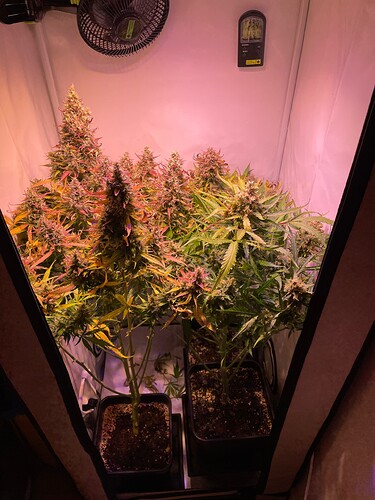 Growreport Bild 8