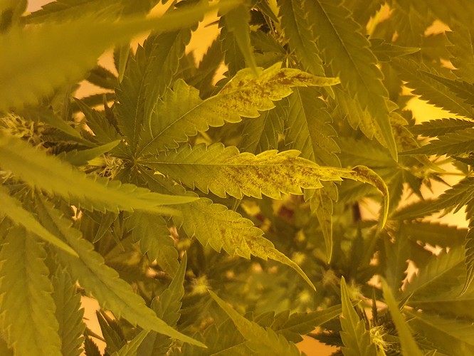 Growreport Bild 12