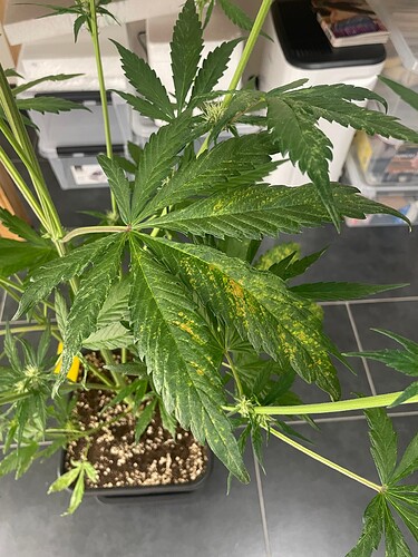 Growreport Bild 14