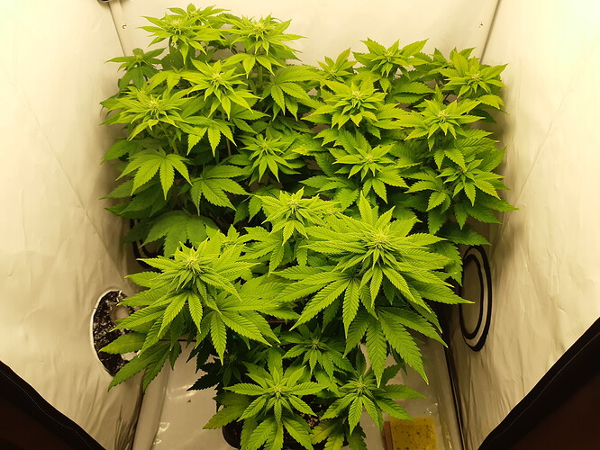 Growreport Bild 10