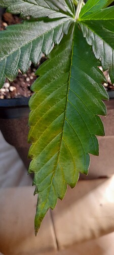 Growreport Bild 15