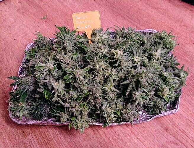 Growreport Bild 8