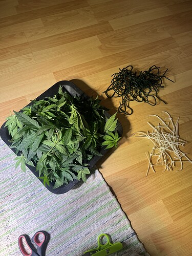 Growreport Bild 7
