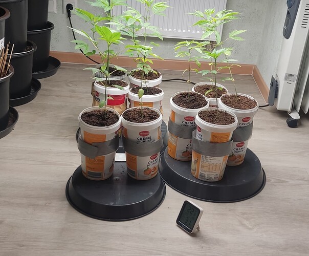 IMG_20230210_095439-01