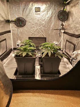 Growreport Bild 11