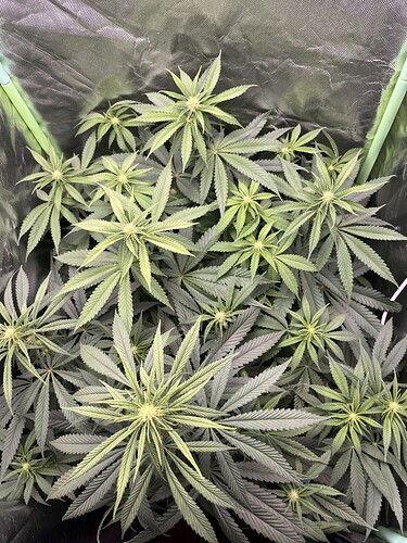 Growreport Bild 4