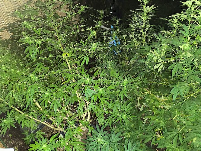 Growreport Bild 10
